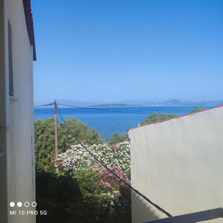 'Αγριοι Λιμένες Daire Íria Dış mekan fotoğraf